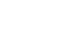 Flight Vector logo